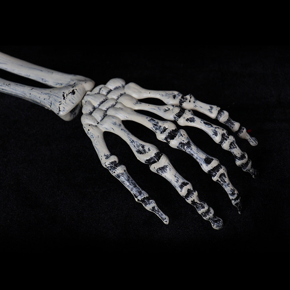 3 Piece Halloween Horror Buried Alive Skeleton Skull Garden Yard Lawn Decoration outdoor Tool