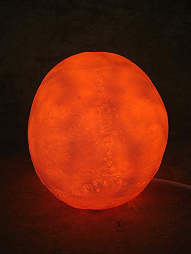 Lighted Two Piece Skull Display