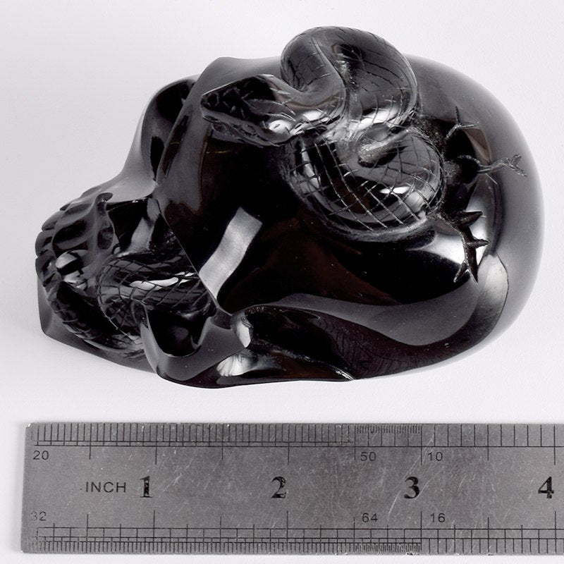 4 Inch Cranial Skeleton Cobra Snake Habitat Skull Statue Obsidian Hand Carved Gothic Graveyard Death Stone Skull Figurine