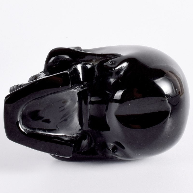 4 Inch Cranial Skeleton Cobra Snake Habitat Skull Statue Obsidian Hand Carved Gothic Graveyard Death Stone Skull Figurine
