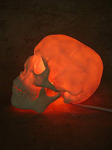 Lighted Two Piece Skull Display