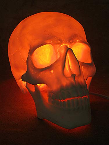 Lighted Two Piece Skull Display
