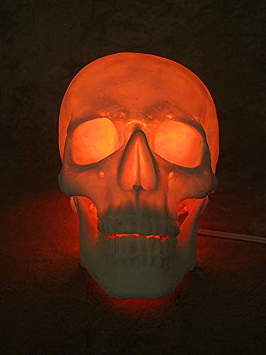 Lighted Two Piece Skull Display