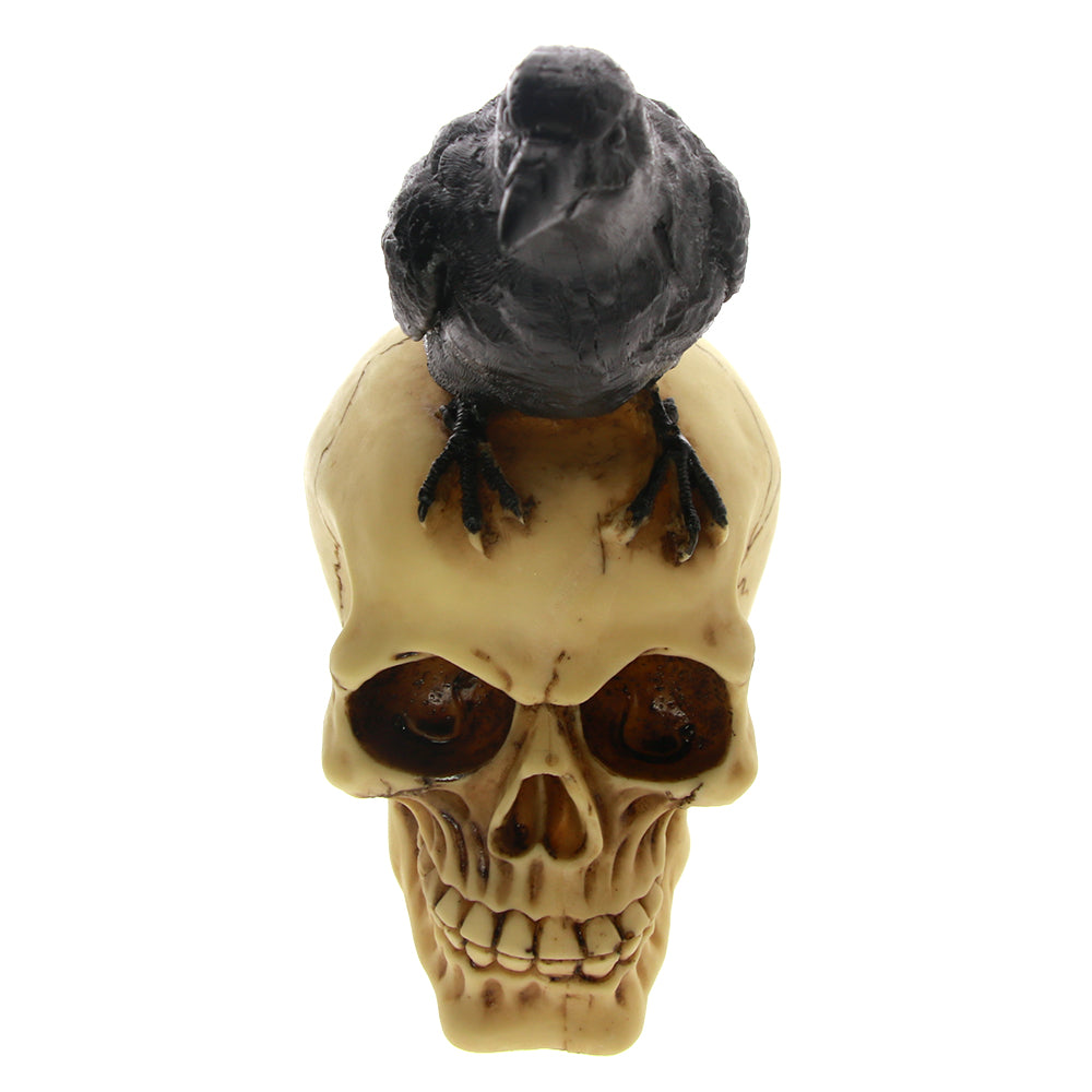 Grim Gothic Perched Raven on Skull Statue Black Bird Crow Skeleton Figurine