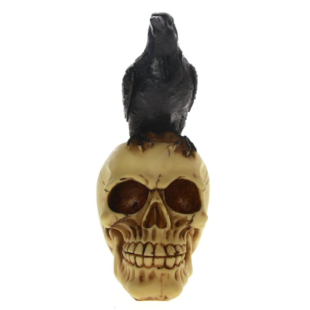 Grim Gothic Perched Raven on Skull Statue Black Bird Crow Skeleton Figurine