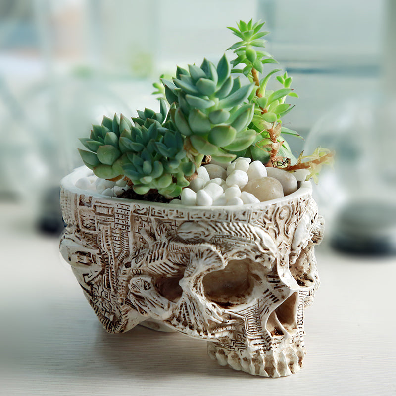 Hand Carved Skull Flower Pot Human Skull Bone Bowl Home Garden Decor