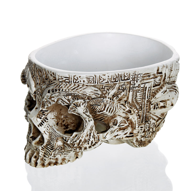 Hand Carved Skull Flower Pot Human Skull Bone Bowl Home Garden Decor