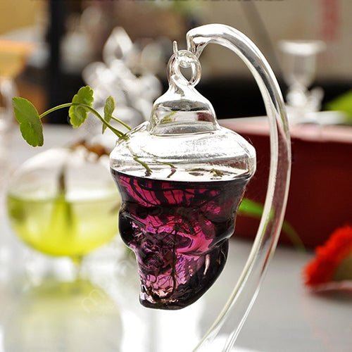 New Promption Creative Clear Glass Skull Shape Flower Plant Hanging Vase Home Office Decor