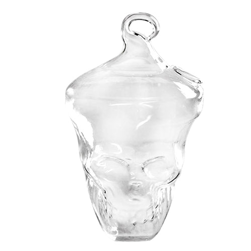 New Promption Creative Clear Glass Skull Shape Flower Plant Hanging Vase Home Office Decor