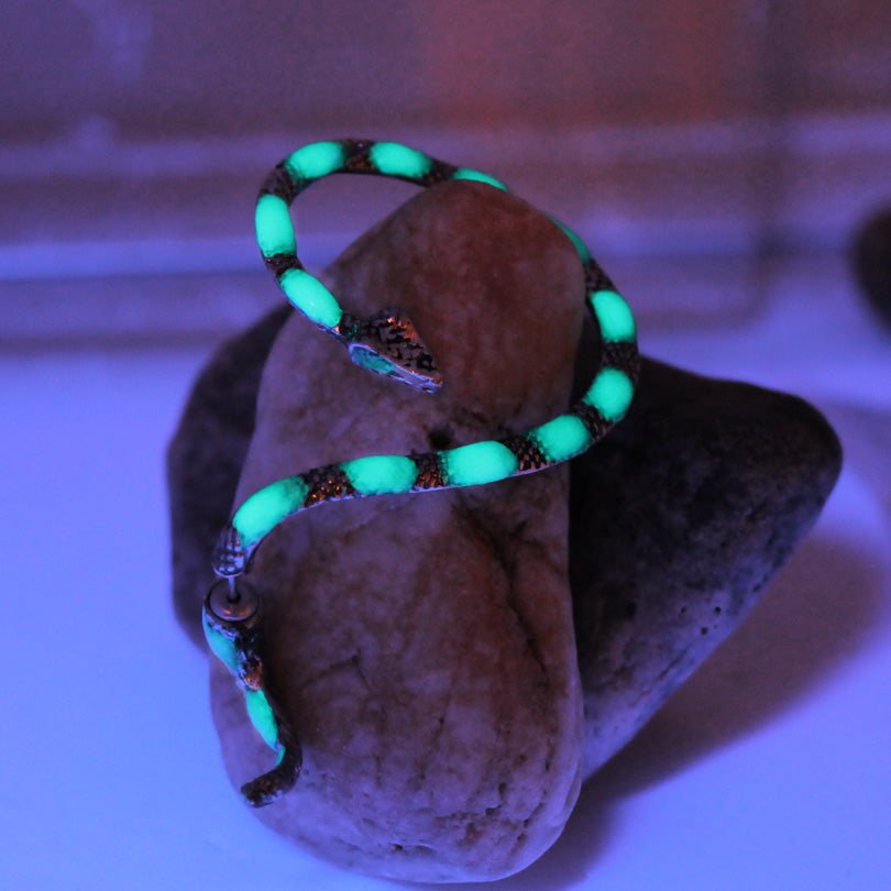 The snake Ear Cuff cobra Ear Cuff GLOW in the DARK Ear clip earrings Stud Earrings Clip Earrings WOMEN girls gift