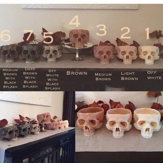 Human Skull Bowl (Food Safe)Human Skull Bowl (Food Safe)