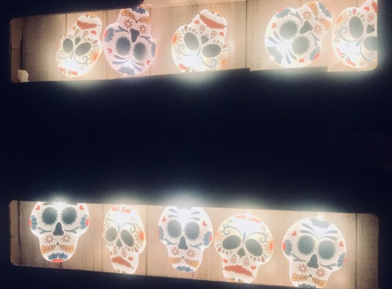 New In Retail Box Sugar Skulls String of 10 LED Lights Rare! Battery 10'