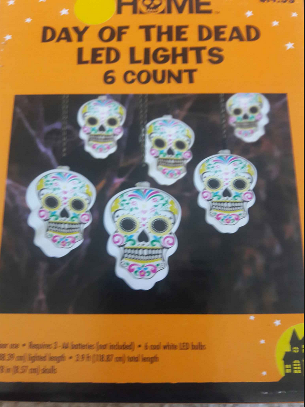 Day of the Dead Sugar Skull String of 6 LED Lights Bedroom Wall Decor Girl's NEW