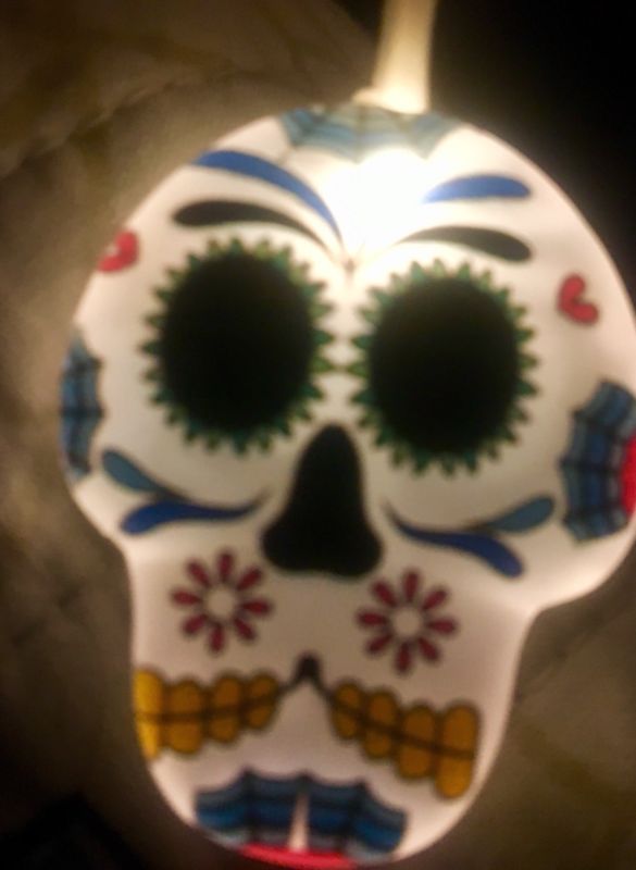 New In Retail Box Sugar Skulls String of 10 LED Lights Rare! Battery 10'