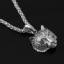 Glow In The Dark Crown Lion Tiger Pendant Necklaces Gold Color Rock Animal Necklaces For Women Men Jewelry