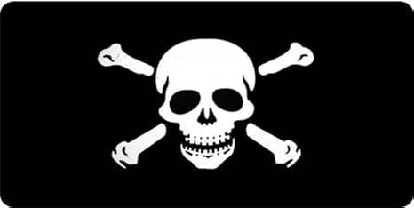 Skull and Crossbones Photo License Plate