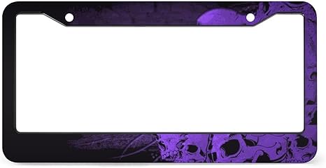 Purple Skulls 02 License Plate Frame Stainless Steel License Plate Holder Auto Car Accessories 2 Holes with Screws for USA and Canada 6x12 Inch