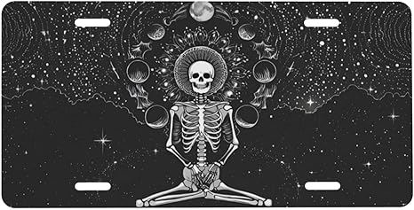 Skull Mystic Front License Plate for Women Car Vanity Plates Decorative Aluminum Metal Cute Novelty License Plate Cover for Men 6x12 Inch (4 Holes)