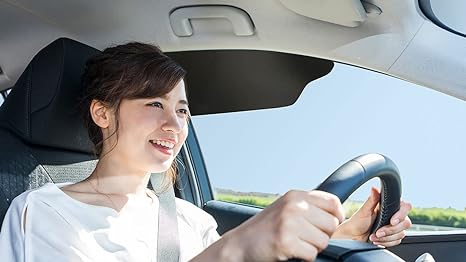Windshield Sunshade for Car Sun Window Shade Visor Shades Sunshade Visors Extender (2 Pack)