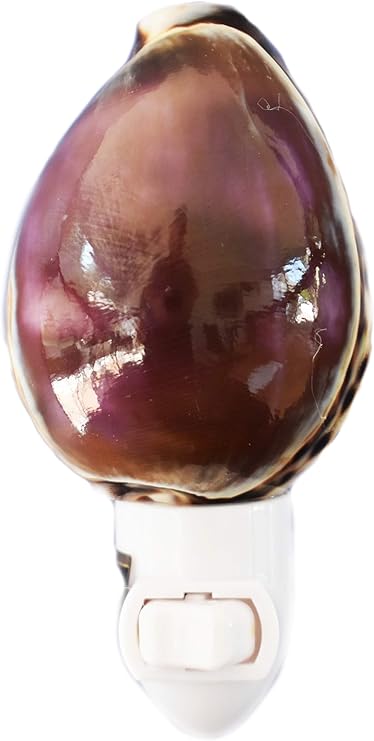 Seashell Night Light Purple Top Tiger Cowrie Beach Decor w. Switch