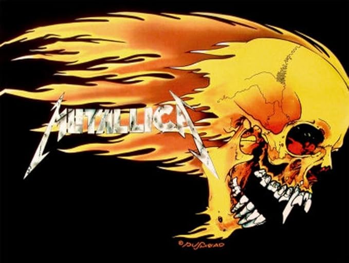 LPGI Metallica Fabric Poster, 30 by 40-Inch, Skull and Flames