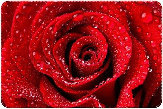 Bathroom Rug Non Slip Bath Mat for Bathroom Water Absorbent Soft Bathroom Mat Red Rose Flower16 x24
