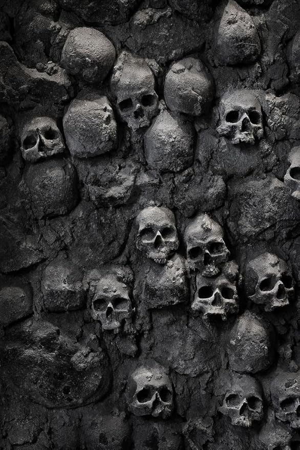 Skulls Stacked in Wall Skeleton Spooky Horror Photo Photograph Human Anatomy Scary Cool Wall Art Print Poster 24x36