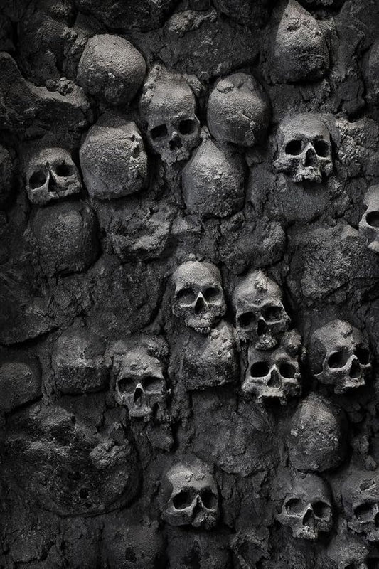 Skulls Stacked in Wall Skeleton Spooky Horror Photo Photograph Human Anatomy Scary Cool Wall Art Print Poster 24x36
