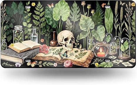 License Plate Skull Front License Plate Cover, Funny Skull Aluminum Decorative License Plates, Novelty Vanity Tag, Car Decor Accessory with 4 Holes, 6×12 inch Car Plates Decor for Women Men