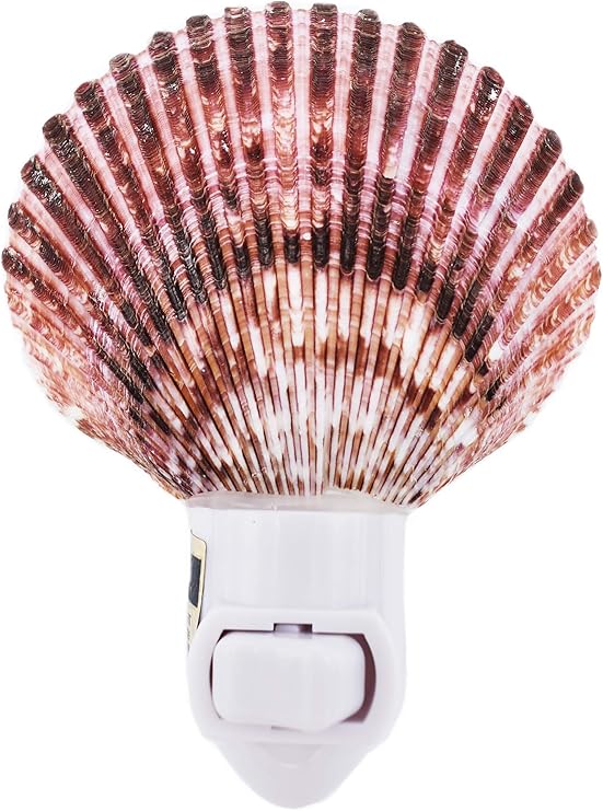 WSLHFEO Seashell Night Light Real Purple Pecten Shell Beach Decor w. on/Off Switch Beautiful Coastal Cottage.