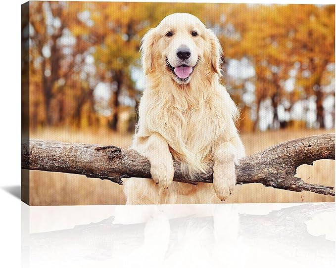 Custom Canvas Prints with Your Photos Personalized Photo Canvas Print Wall Art Customized Canvas Picture Frame Gifts for Pet Baby Family Mom Dad Men Women Couple Boyfriend Girlfriend Framed 10x8