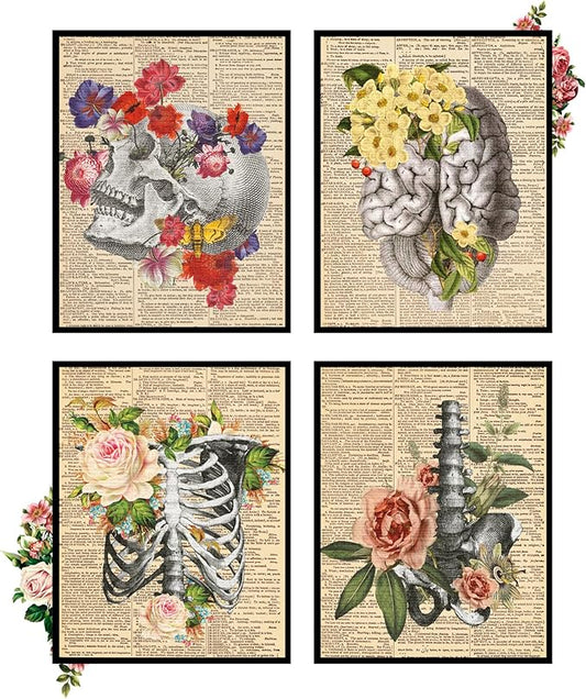 Anatomy Wall Art, Skull Art, Human Skeleton Poster, Anatomy Pictures, Skeleton Pictures for Wall (8x10 Unframed)