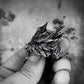 Kushala Daora Dragon of Steel Large Ring for Men Antique Gothic Open Ring Alloy Silver Plated Jewelry Cosplay Accessories Gift