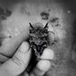Kushala Daora Dragon of Steel Large Ring for Men Antique Gothic Open Ring Alloy Silver Plated Jewelry Cosplay Accessories Gift