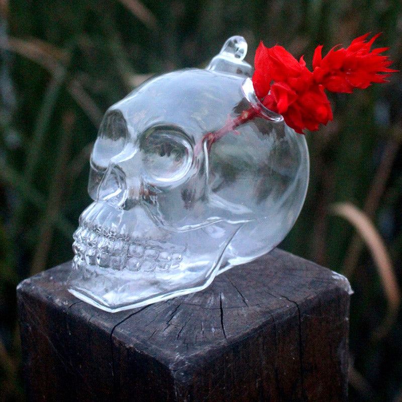 Hot Originality Hydroponic Plants Garden Flower Pot Skull Shape Hanging Glass Vases Other Yard Outdoor Quality
