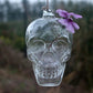 Hot Originality Hydroponic Plants Garden Flower Pot Skull Shape Hanging Glass Vases Other Yard Outdoor Quality