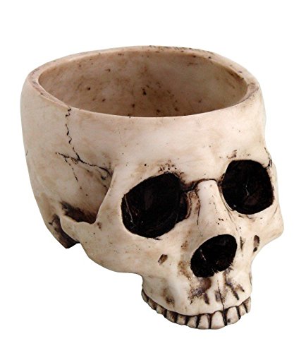 6.75 Inch Ceramic Open Skeleton Skull Figurine Medium Bowl, Beige