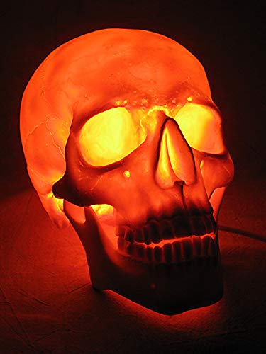 Lighted Two Piece Skull Display