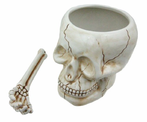 Cool Ceramic Skull Bowl W/ Bone Spoon