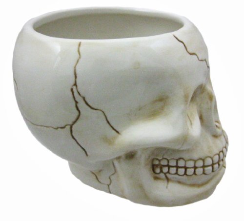 Cool Ceramic Skull Bowl W/ Bone Spoon