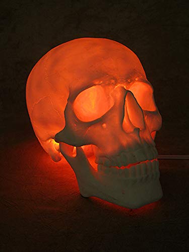 Lighted Two Piece Skull Display