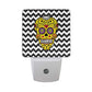Sugar Skull Flowers LED Night Light with Smart Dusk to Dawn Sensor