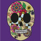 Adult Coloring Books: Sugar Skulls (Volume 1)