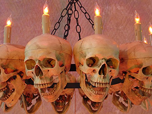 Skeletons And More Skull Chandelier w/ 12 Skulls