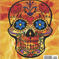 Adult Coloring Book Day Of The Dead: An Adult Coloring Book Featuring Sugar Skull and Mandalas