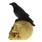 Grim Gothic Perched Raven on Skull Statue Black Bird Crow Skeleton Figurine