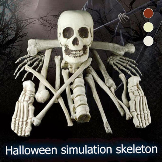 Halloween skeleton skull Head Halloween skull bones life size Skull Haunted House Escape horror prop Decorations