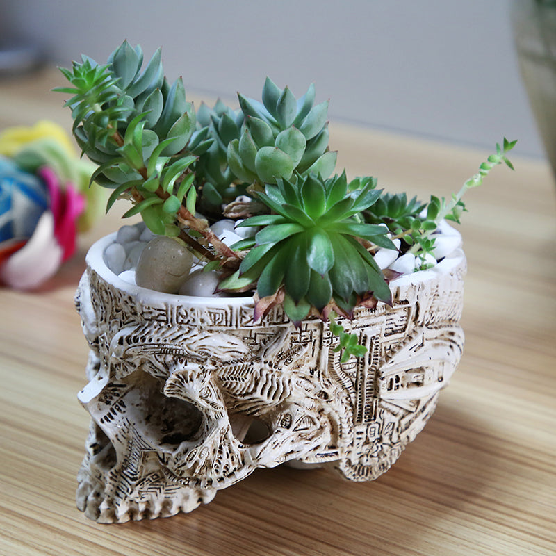Hand Carved Skull Flower Pot Human Skull Bone Bowl Home Garden Decor