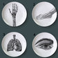 Human Body structure decorative plate art ceramic dish display tray club price fun skull dish creative kitchen decoration set