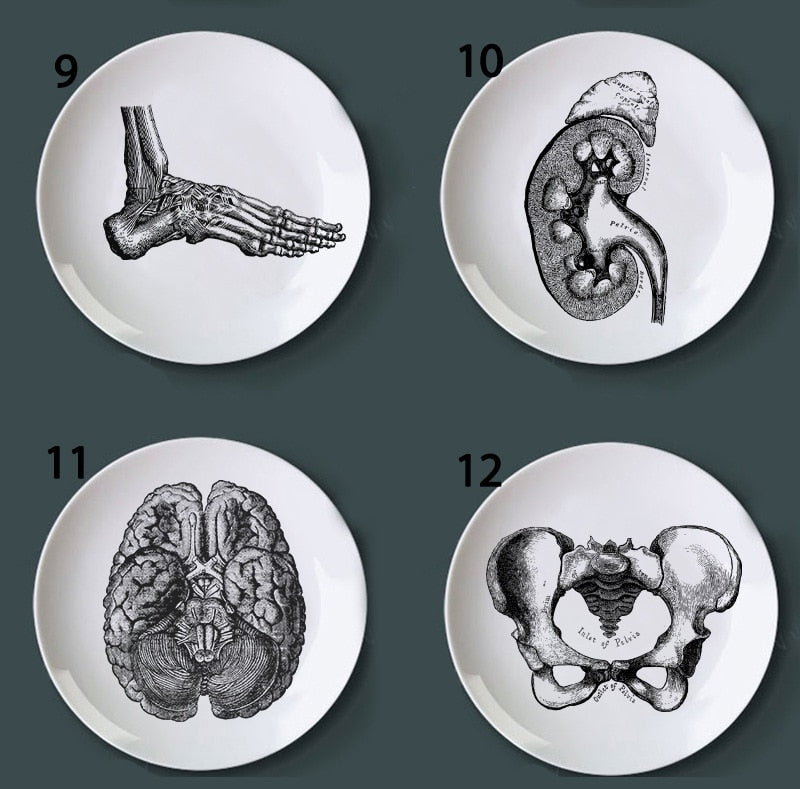 Human Body structure decorative plate art ceramic dish display tray club price fun skull dish creative kitchen decoration set